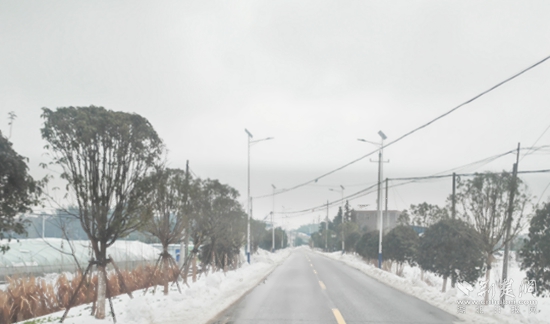 省道S356董家垅-朱新線路口9.3公里，都清理到邊，路面不見雪 高橋鎮(zhèn).jpg