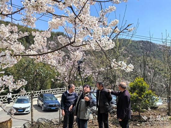 花樣經(jīng)濟 咸安1.jpg.jpg