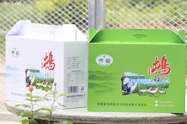 陽(yáng)新屯鳥 陽(yáng)新屯鳥